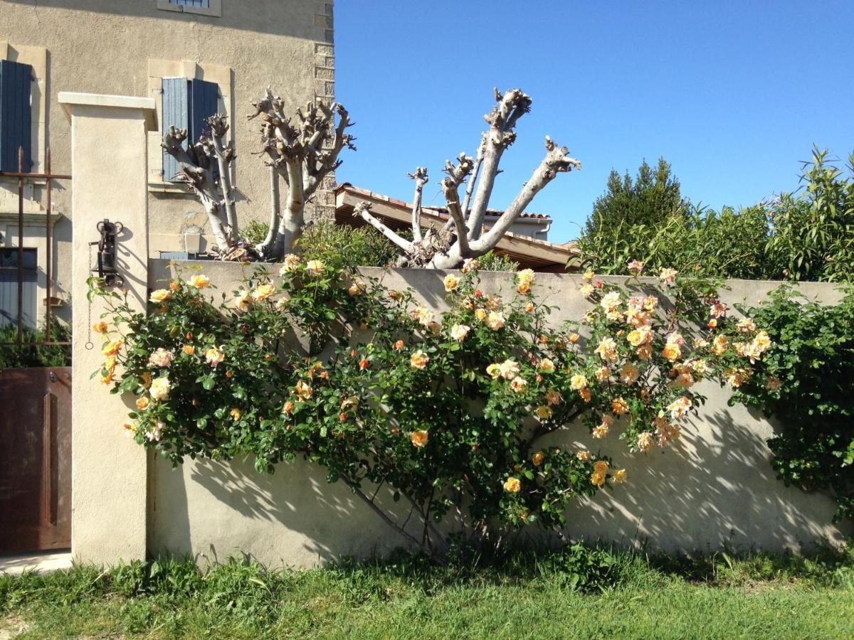 B&B - Le Vieux Figuier Vacqueyras Dış mekan fotoğraf